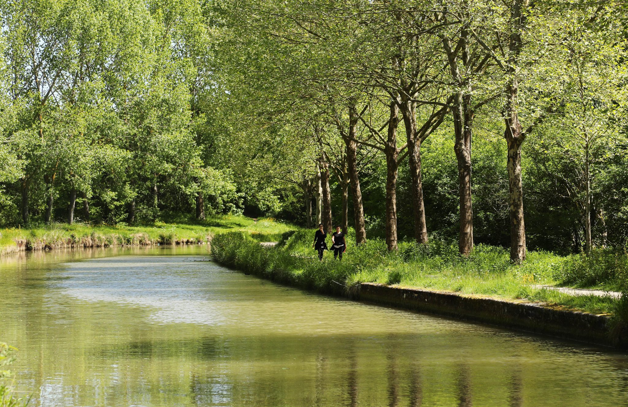 Canal de l’Ourcq à Gressy