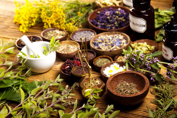 Atelier avec Sacrées Plantes