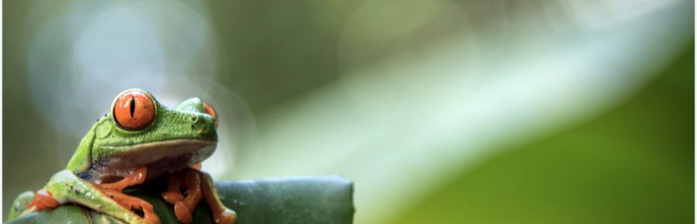 Exposition « Beauté de la nature » à Écouen